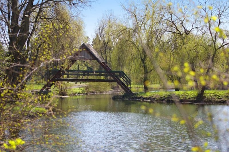 Гідропарк Топільче Тернопіль: оазис історії і відпочинку