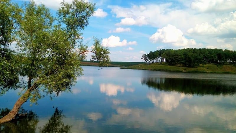 Тернопільська область